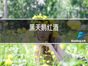黑天鹅红酒