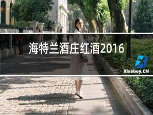 海特兰酒庄红酒2016价格