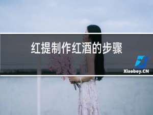 红提制作红酒的步骤