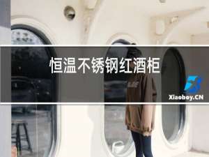 恒温不锈钢红酒柜