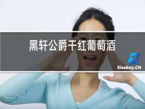 黑轩公爵干红葡萄酒