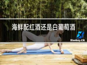 海鲜配红酒还是白葡萄酒