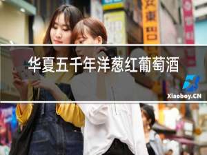 华夏五千年洋葱红葡萄酒价格
