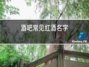 酒吧常见红酒名字