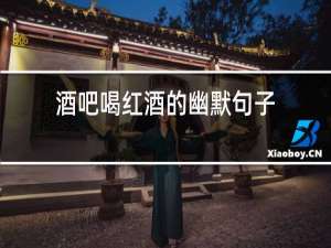 酒吧喝红酒的幽默句子