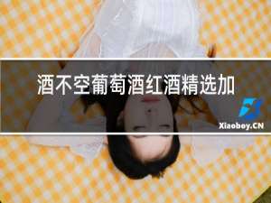酒不空葡萄酒红酒精选加盟