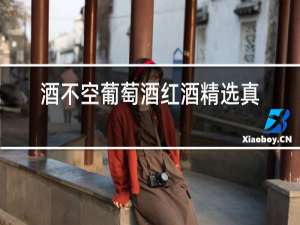 酒不空葡萄酒红酒精选真假