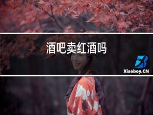酒吧卖红酒吗