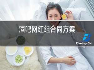 酒吧网红组合同方案