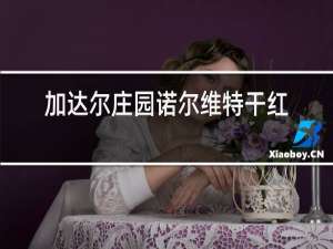 加达尔庄园诺尔维特干红葡萄酒