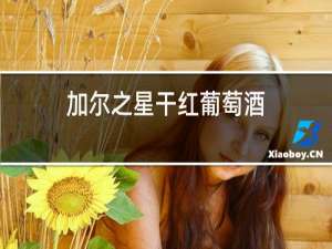 加尔之星干红葡萄酒