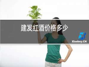 建发红酒价格多少