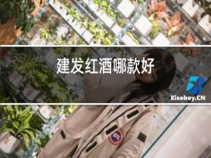 建发红酒哪款好