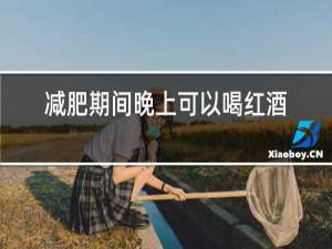 减肥期间晚上可以喝红酒吗