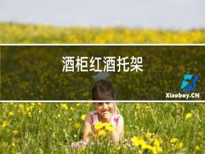 酒柜红酒托架