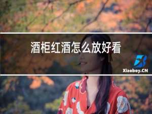 酒柜红酒怎么放好看