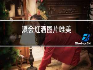 聚会红酒图片唯美