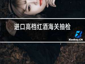 进口高档红酒海关抽检