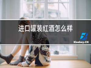 进口罐装红酒怎么样