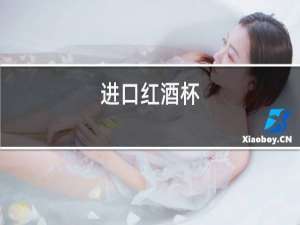 进口红酒杯