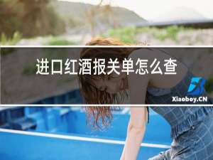 进口红酒报关单怎么查