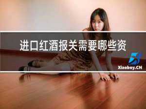 进口红酒报关需要哪些资料