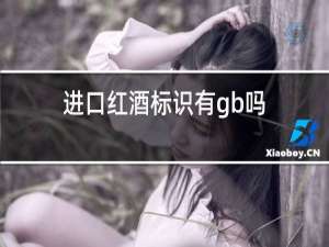 进口红酒标识有gb吗