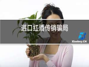 进口红酒传销骗局