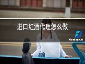进口红酒代理怎么做