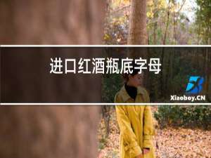 进口红酒瓶底字母