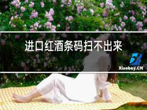 进口红酒条码扫不出来