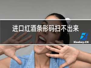 进口红酒条形码扫不出来,可以扫二维码