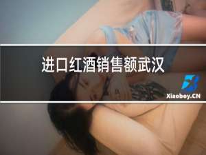 进口红酒销售额武汉