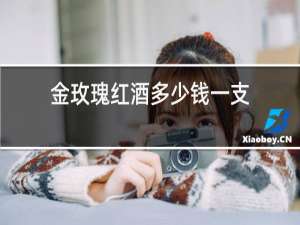 金玫瑰红酒多少钱一支
