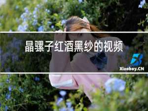 晶骡子红酒黑纱的视频