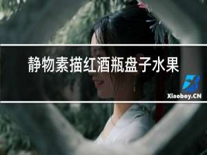 静物素描红酒瓶盘子水果