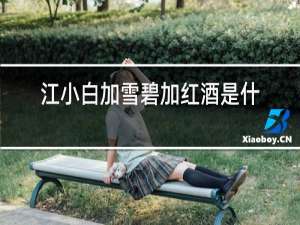 江小白加雪碧加红酒是什么意思