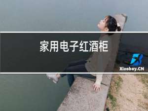 家用电子红酒柜