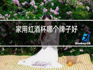 家用红酒杯哪个牌子好