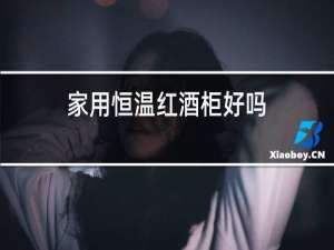 家用恒温红酒柜好吗