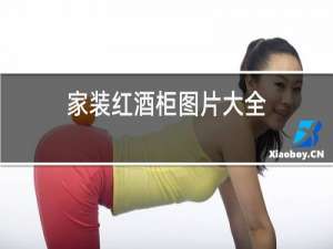 家装红酒柜图片大全