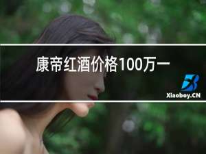 康帝红酒价格100万一瓶