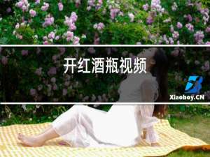 开红酒瓶视频