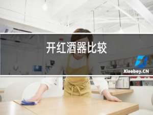 开红酒器比较