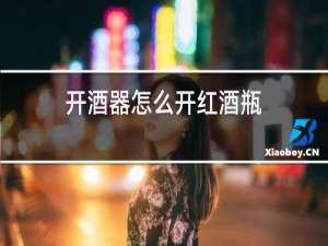 开酒器怎么开红酒瓶