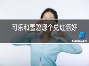 可乐和雪碧哪个兑红酒好喝