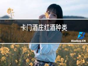 卡门酒庄红酒种类