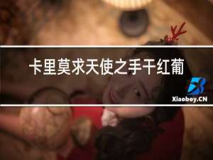 卡里莫求天使之手干红葡萄酒