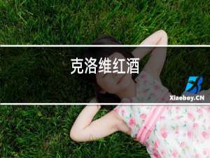 克洛维红酒