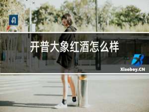 开普大象红酒怎么样